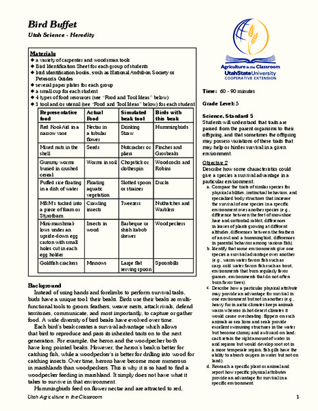 Bird Buffet Lesson Plan