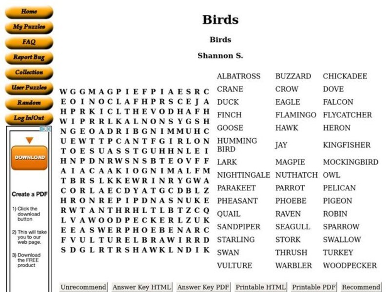 Birds Word Search Worksheet