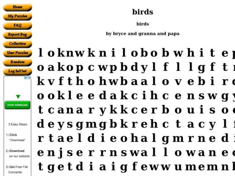 Birds Word Search Worksheet