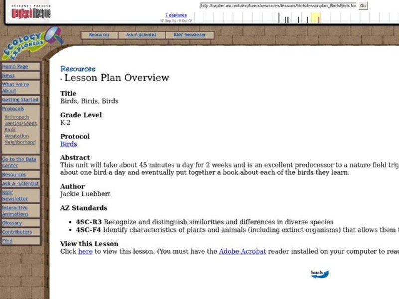 Birds, Birds, Birds Lesson Plan