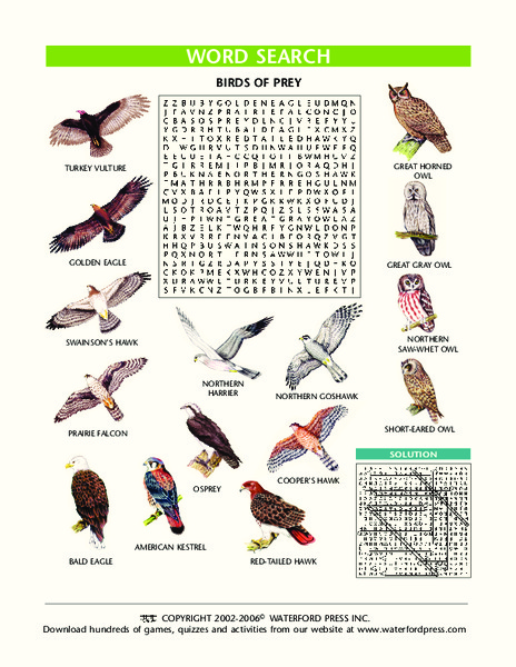 Birds of Prey Word Search Lesson Plan