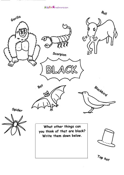 Black Worksheet