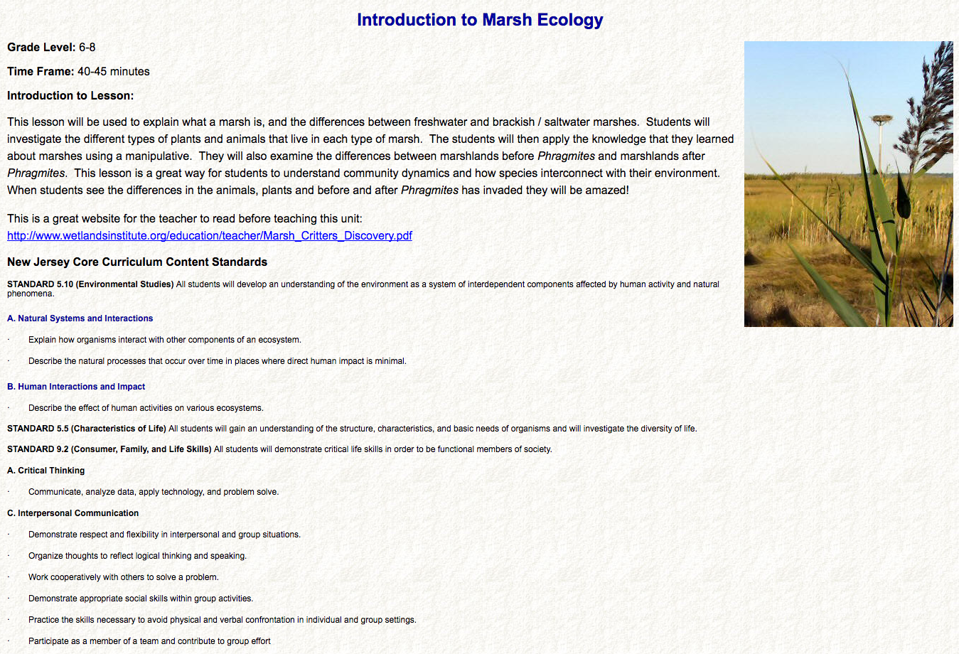 Introduction to Marsh Ecology Lesson Plan