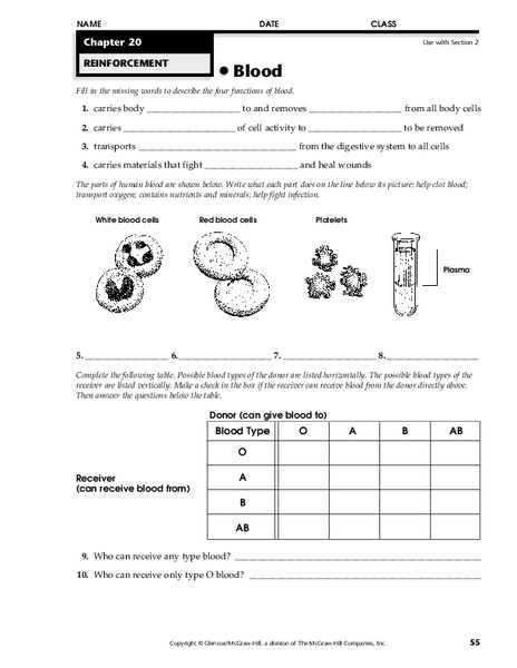 Blood Worksheet