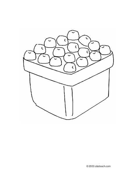 Blueberries Worksheet