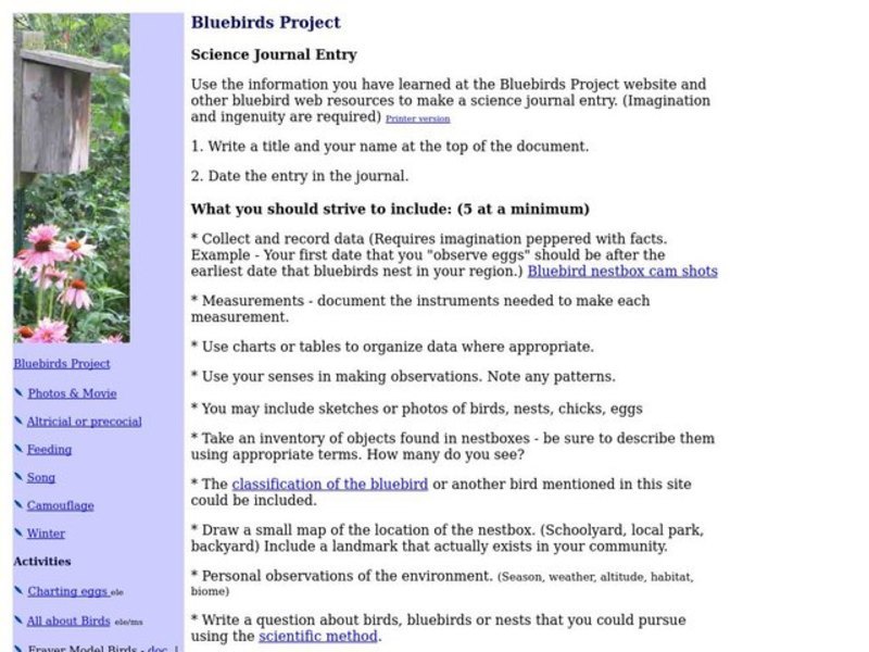 Bluebirds Project Interactive