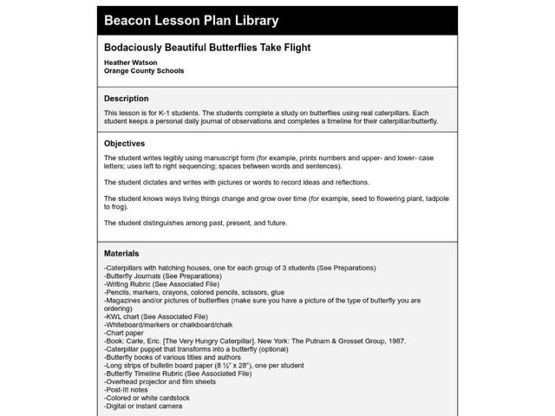 Bodaciously Beautiful Butterflies Take Flight Lesson Plan