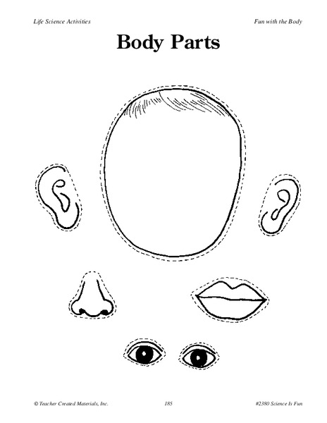 Body Parts Worksheet