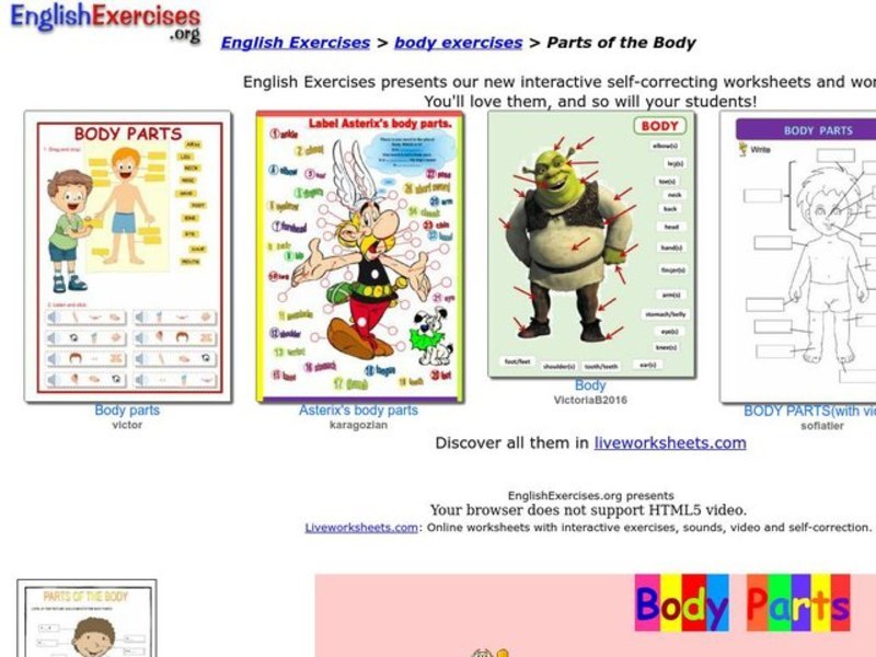 Body Parts Interactive