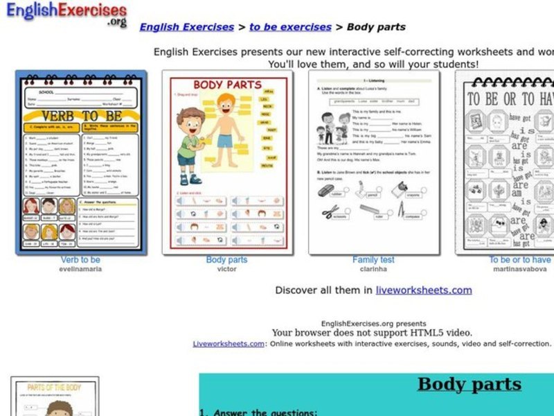 Body Parts Interactive