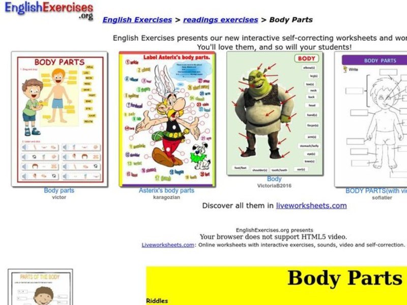 Body Parts Interactive