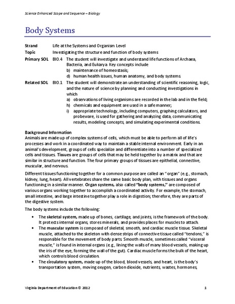 Body Systems Lesson Plan