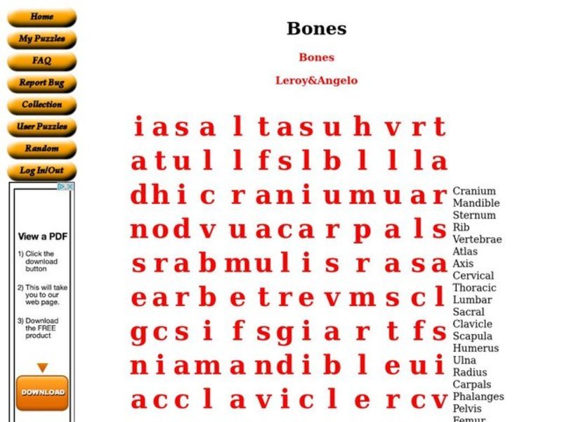 Bones Worksheet