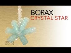 Borax Crystal Star - Sick Science! #066 Instructional Video