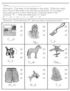 Bossy Rr Worksheet
