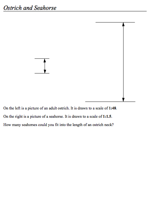 Ostrich and Seahorse Assessment