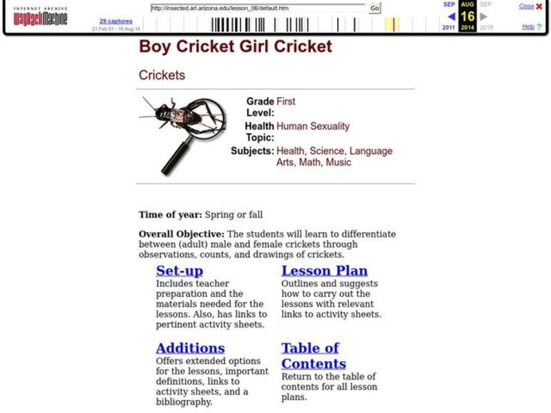 Boy Cricket Girl Cricket Lesson Plan