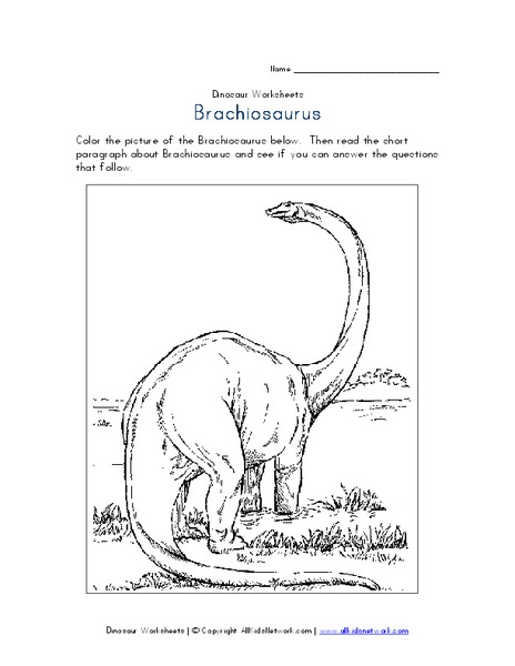 Brachiosaurus Worksheet