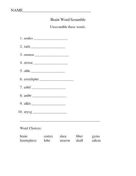 Brain Word Scramble Worksheet