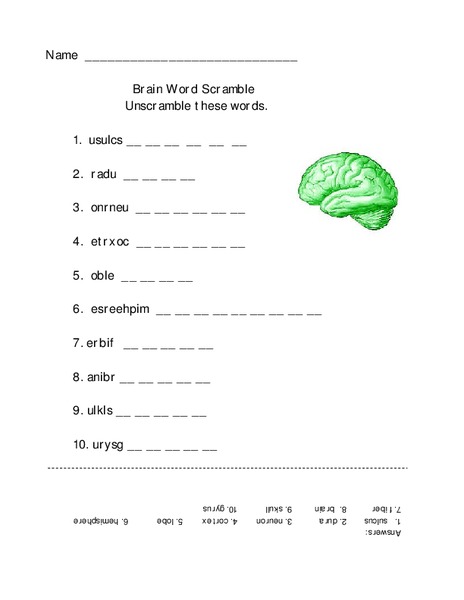 Brain Word Scramble Worksheet