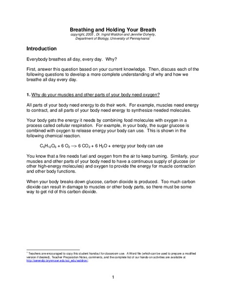 Breathing and Holding Your Breath Worksheet