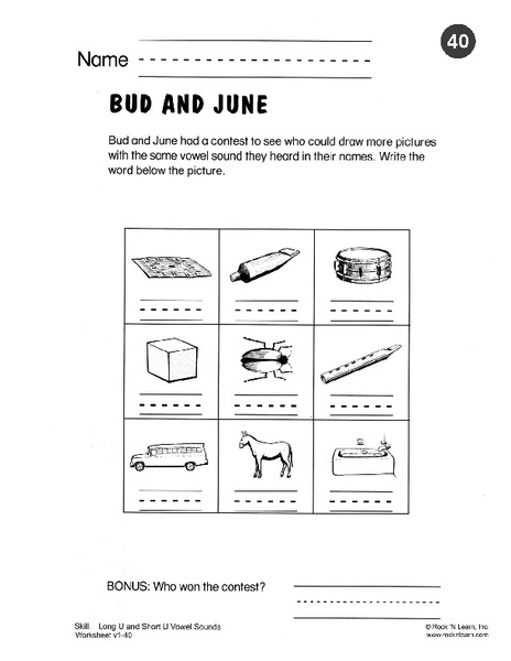 Bud And June Worksheet