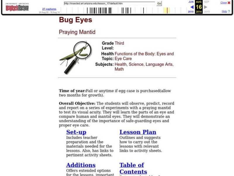 Bug Eyes Lesson Plan
