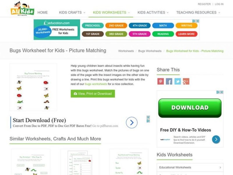 Bug Picture Matching Worksheet