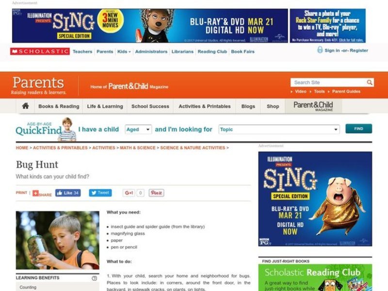 Bug Hunt Lesson Plan