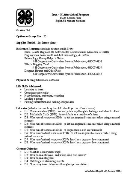 Bugs Lesson Plan