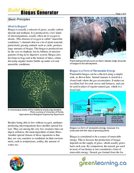 Build Your Own Biogas Generator Lesson Plan