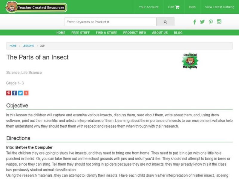 The Parts of an Insect Lesson Plan