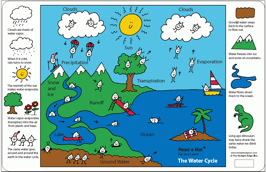 The Water Cycle — A Placemat for Kids Printables
