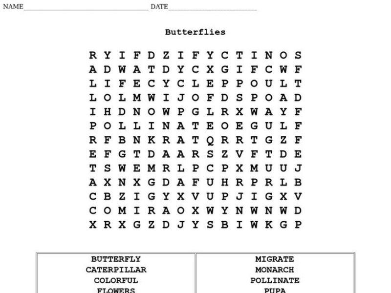 Butterflies Worksheet