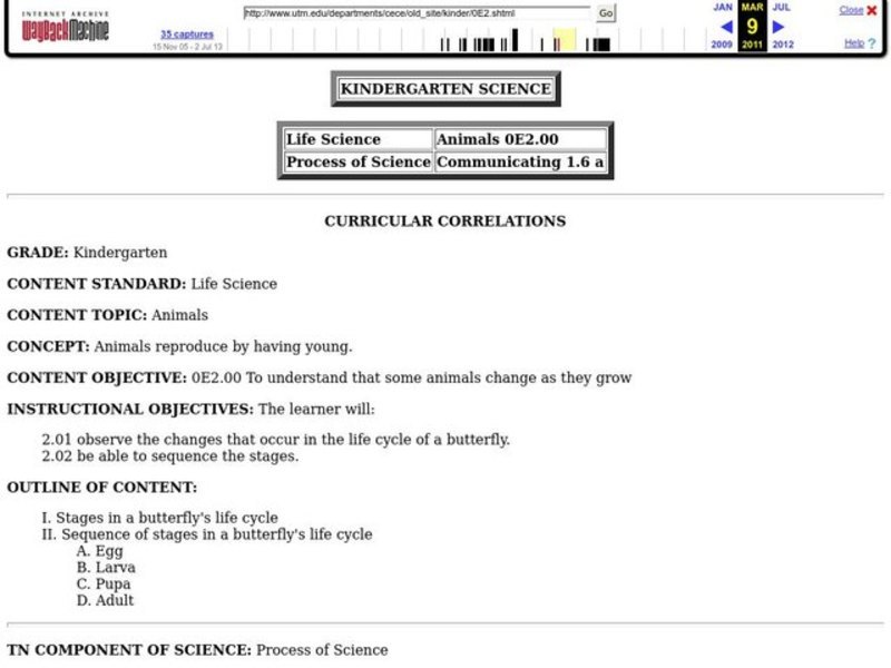 Butterfly Life Cycle Lesson Plan