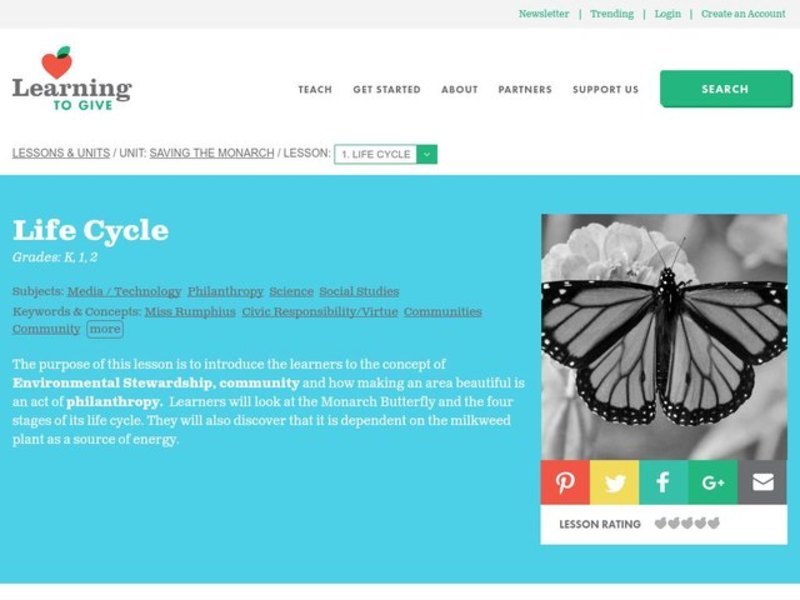 Butterfly Life Cycle Lesson Plan