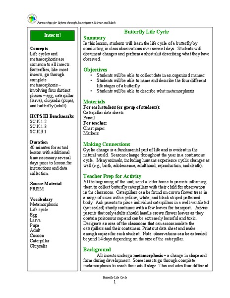 Butterfly Life Cycle Lesson Plan