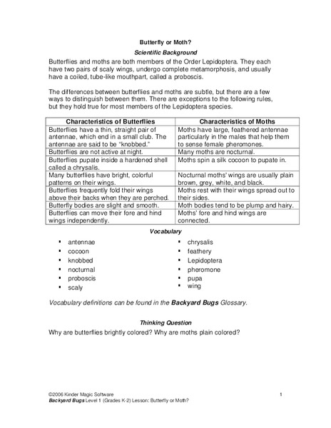 Butterfly or Moth? Lesson Plan