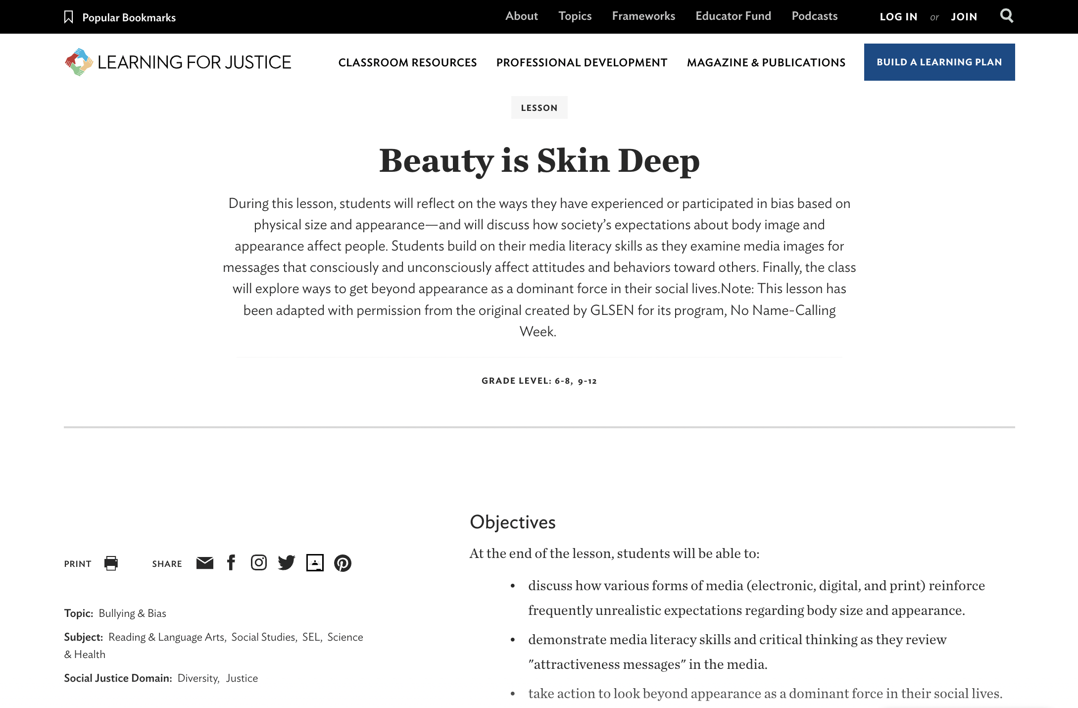 Beauty is Skin Deep Lesson Plan