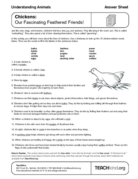 Chickens: Our Fascinating Feathered Friends Worksheet