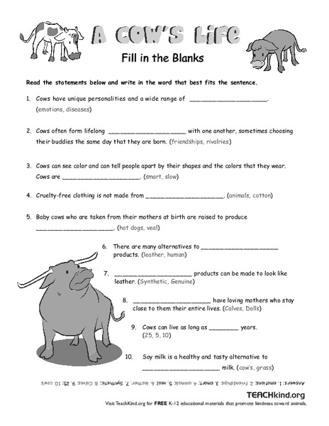 A Cow's Life Worksheet