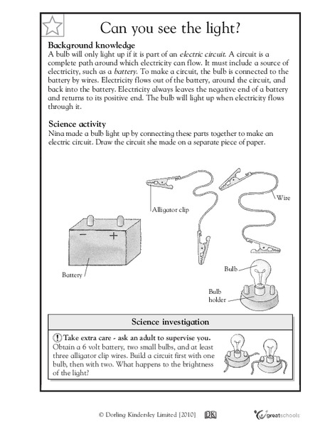 Can You See the Light? Worksheet