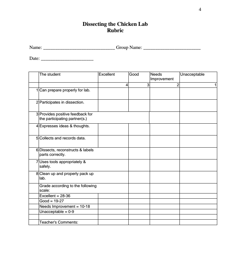 Skeletal Structures Organizer