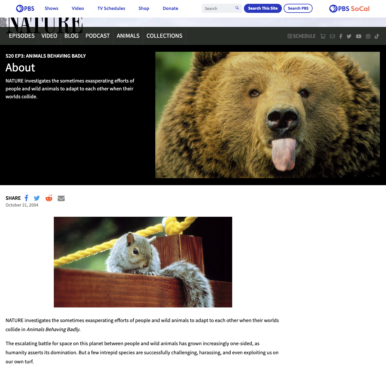 Animals and People: Who's Behaving Badly? Lesson Plan