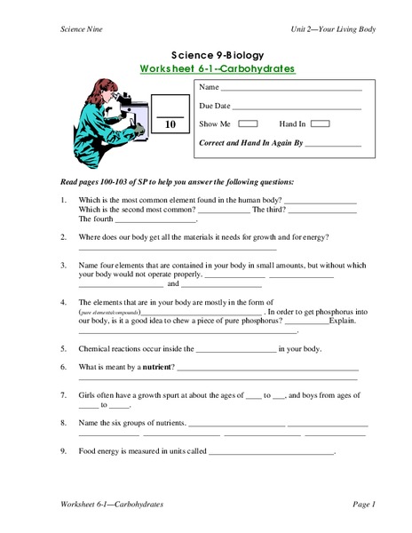 Carbohydrates Worksheet