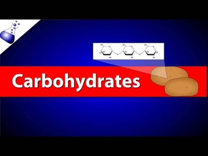 Carbohydrates Instructional Video