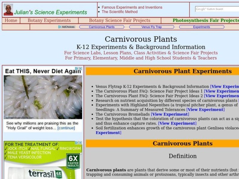 Carnivorous Plants Lesson Plan