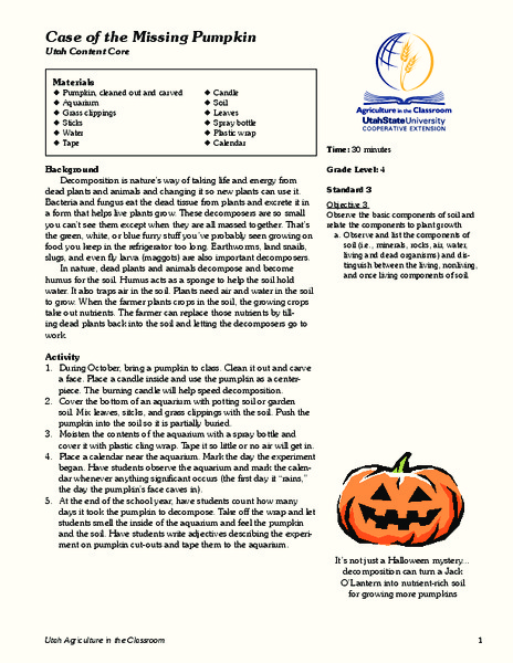 Case of the Missing Pumpkin Lesson Plan