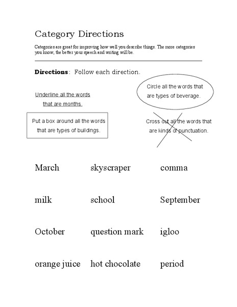 Category Directions Worksheet