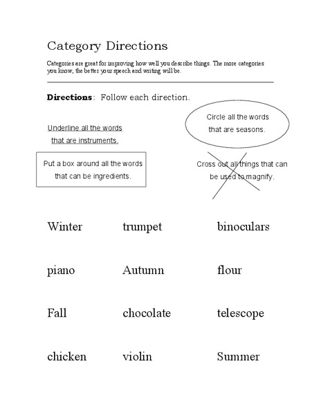 Category Directions Worksheet